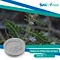 Tribulus Terrestris Extract is used as a traditional medicine for various health benefits, including improving athletic performance, boosting sexual function, and reducing inflammation.